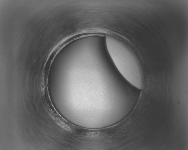 X0000085731364200703160825