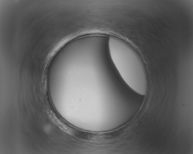 X0000085731367200703160825