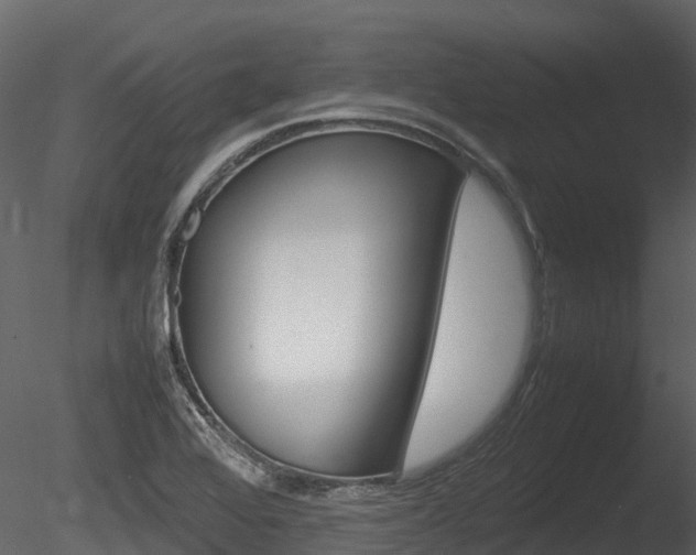 X0000085731368200703160825