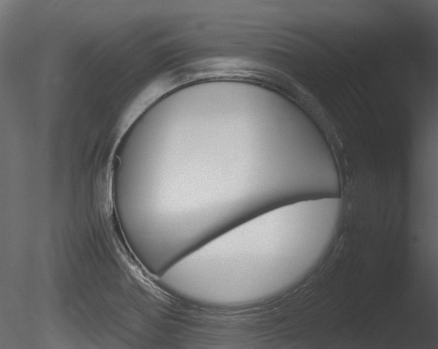 X0000085731370200703160825