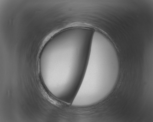 X0000085731371200703160825
