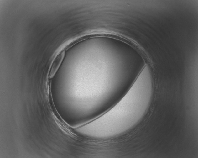 X0000085731372200703160825