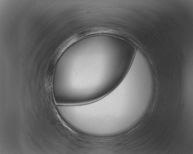 X0000085731377200703160825