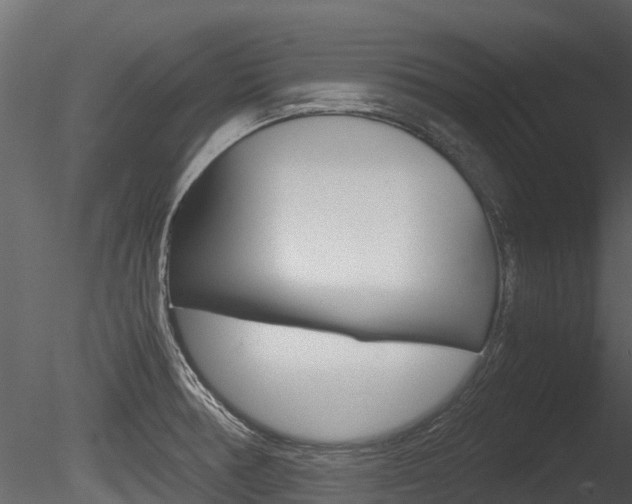 X0000085731378200703160825