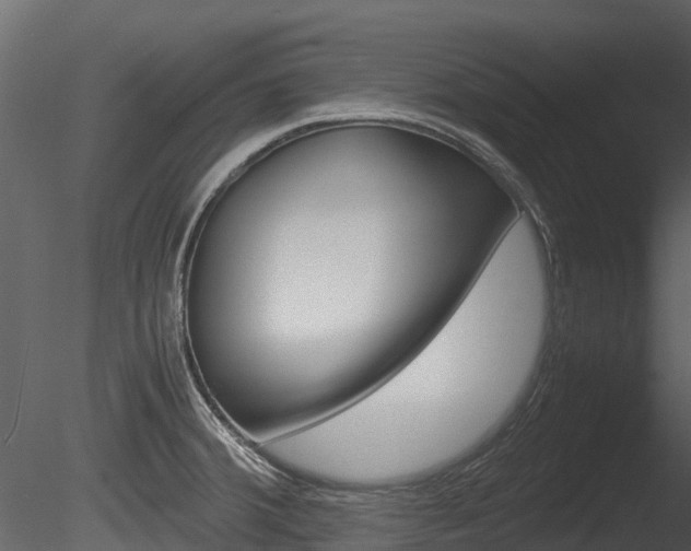 X0000085731380200703160825