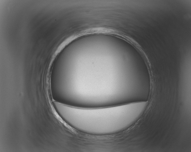 X0000085731381200703160825
