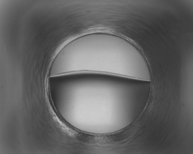 X0000085731383200703160825