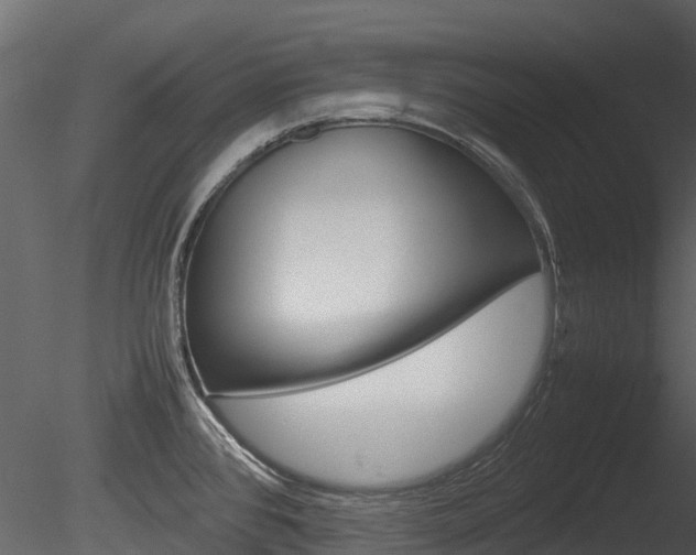 X0000085731384200703160825
