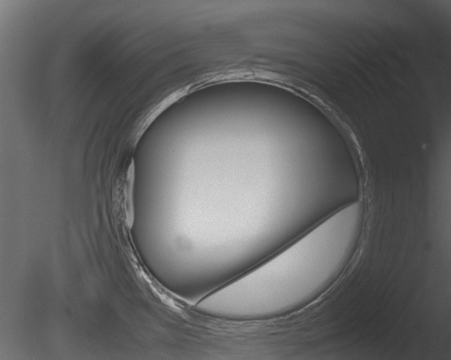X0000085731385200703160825