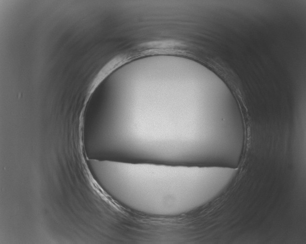 X0000085731386200703160825