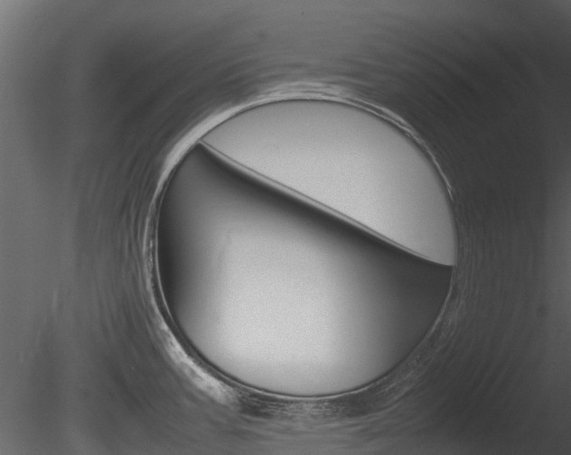 X0000085731387200703160825
