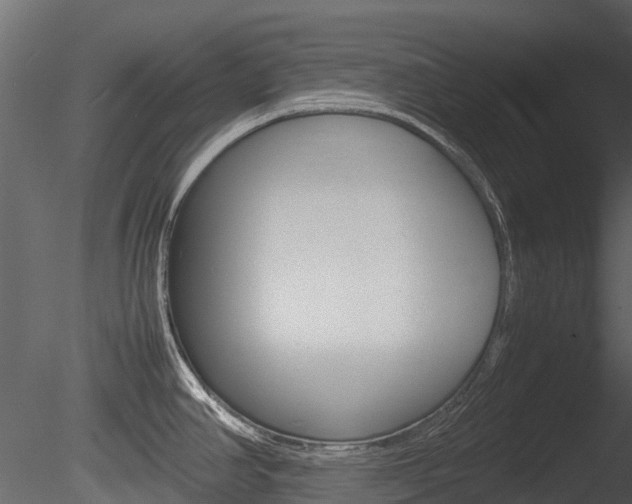 X0000085731390200703160825