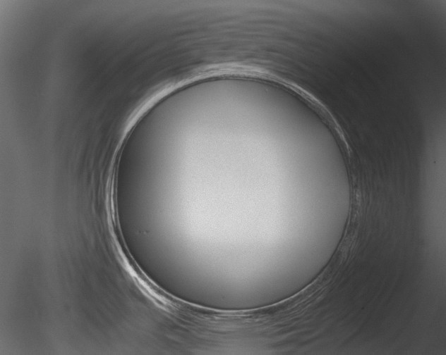 X0000085731391200703160825