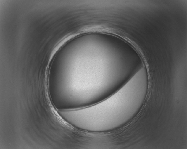 X0000085731392200703160825