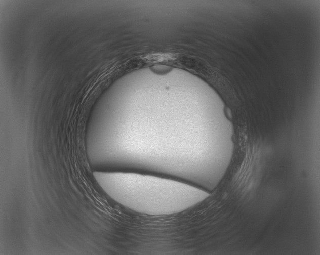 X0000085731393200703160824