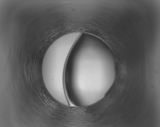 X0000085731394200703160824
