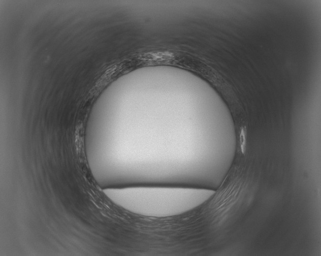 X0000085731395200703160824
