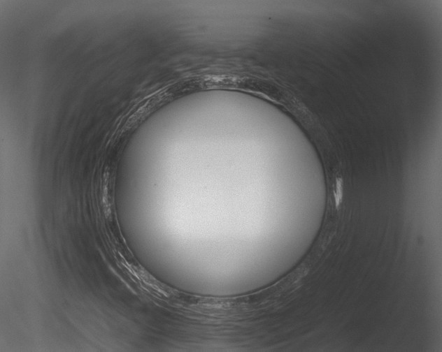 X0000085731396200703160824