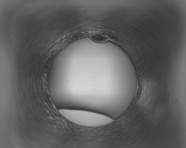 X0000085731397200703160824