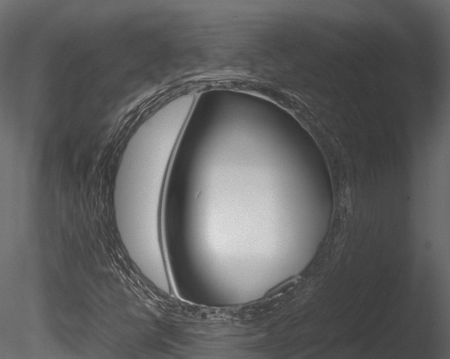 X0000085731398200703160824