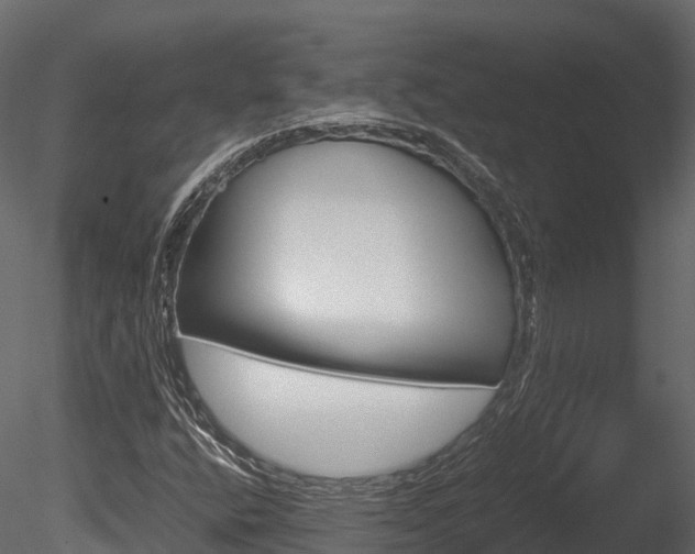 X0000085731400200703160824