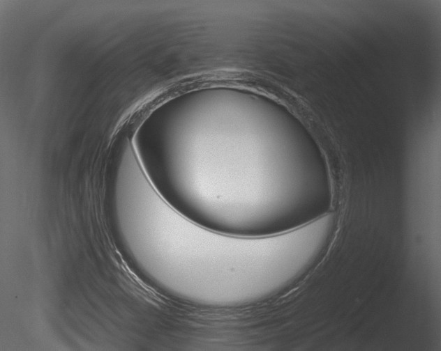 X0000085731402200703160824
