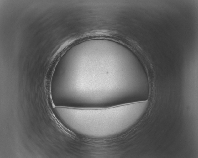 X0000085731404200703160824