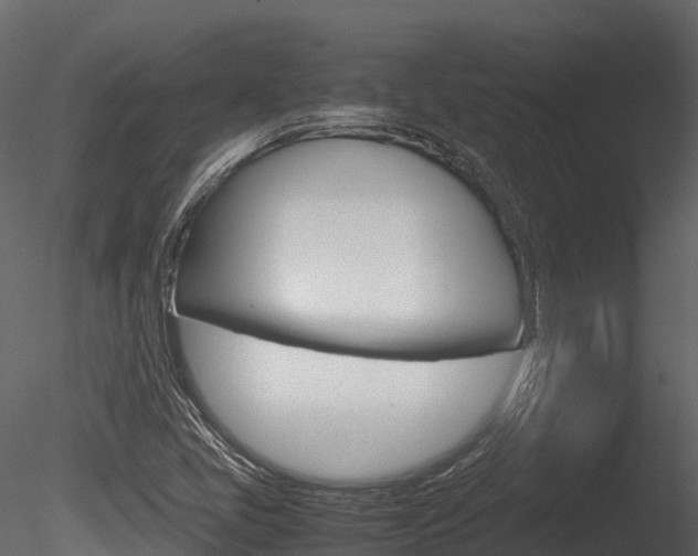 X0000085731405200703160824