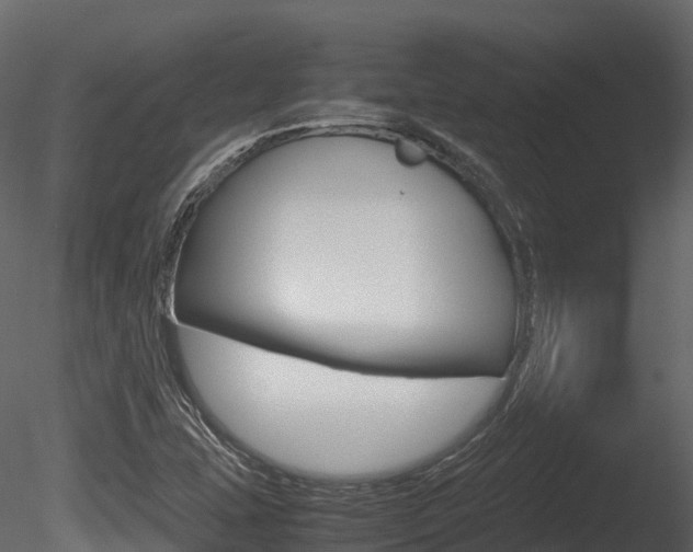 X0000085731407200703160824