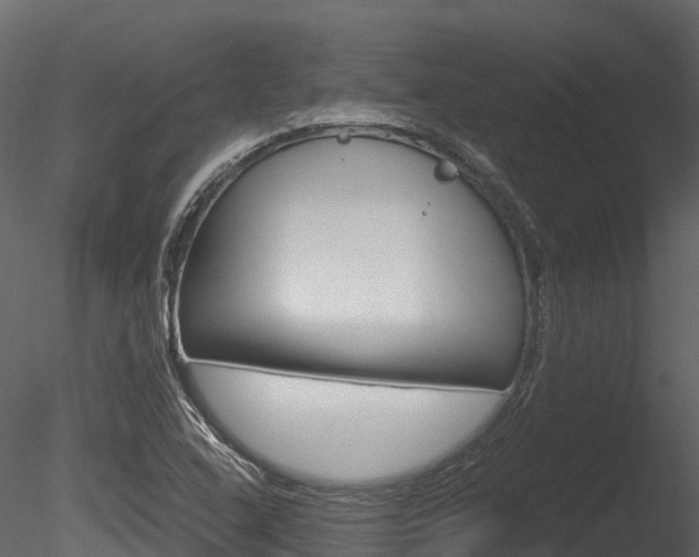 X0000085731408200703160824