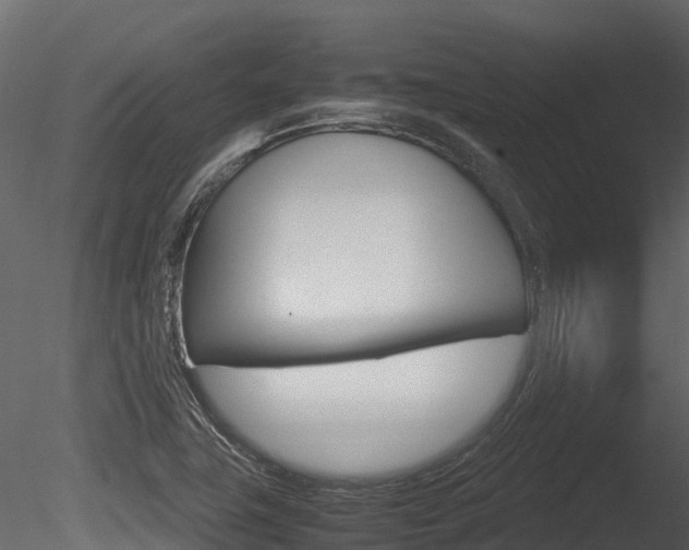 X0000085731411200703160824