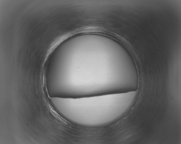 X0000085731413200703160824