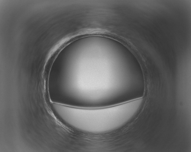 X0000085731414200703160824