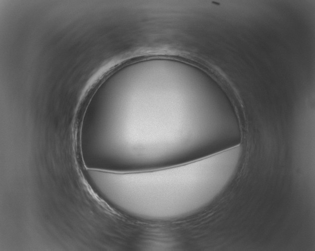 X0000085731416200703160824