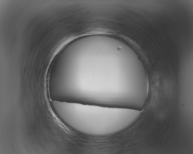 X0000085731423200703160824