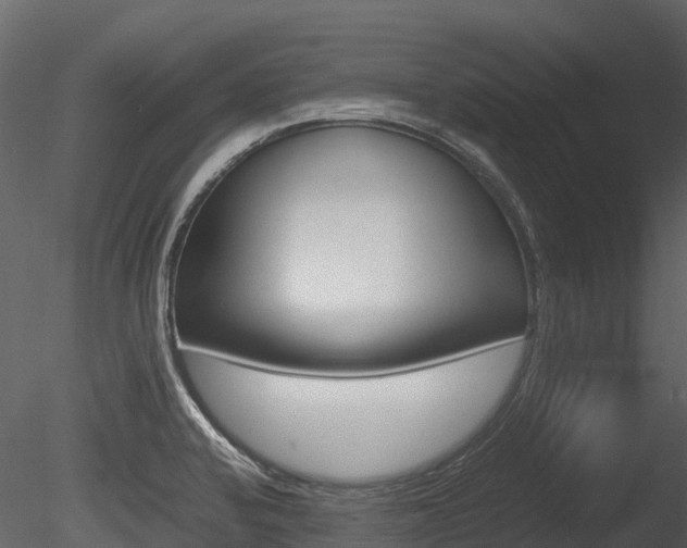 X0000085731424200703160824