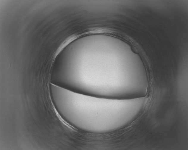 X0000085731425200703160824