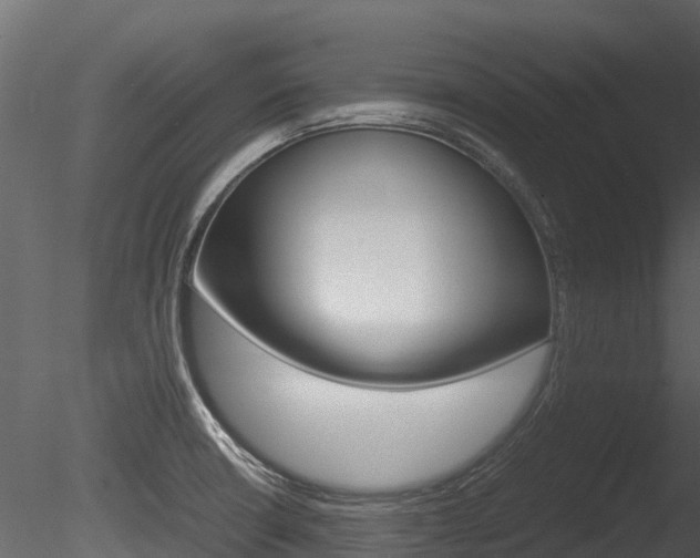 X0000085731426200703160824