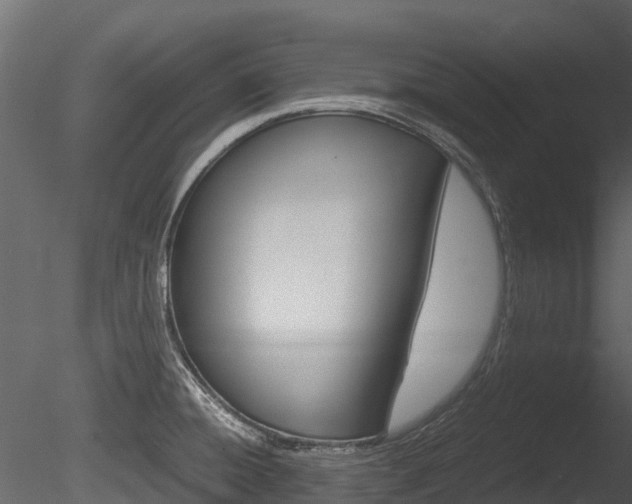 X0000085731428200703160825