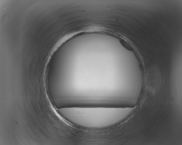X0000085731429200703160825
