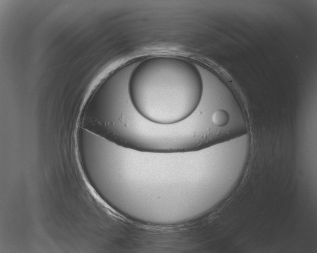 X0000085731432200703160825