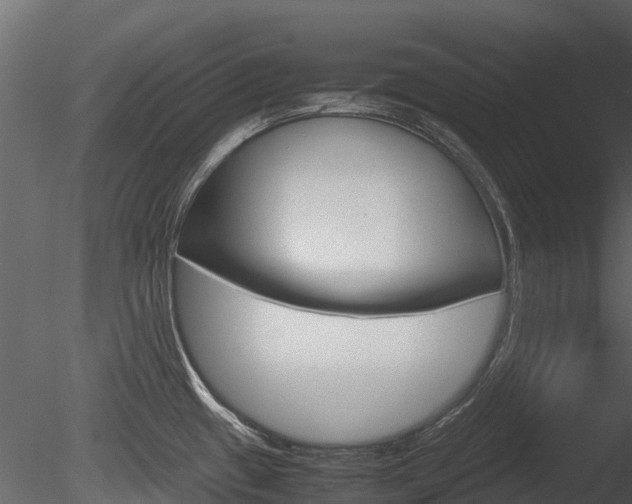 X0000085731433200703160825