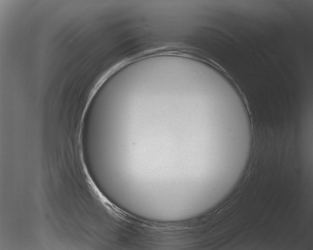 X0000085731434200703160825