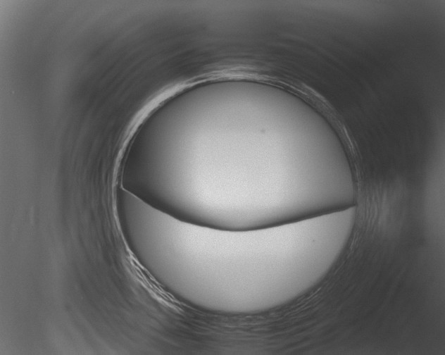 X0000085731435200703160825