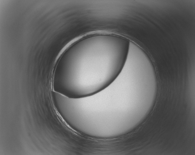 X0000085731436200703160825