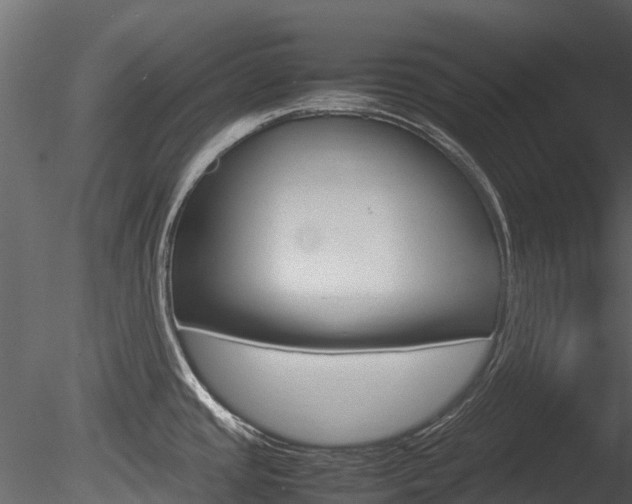 X0000085731437200703160825