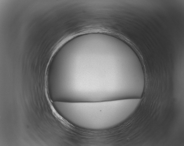 X0000085731439200703160825