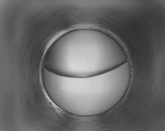 X0000085731440200703160825