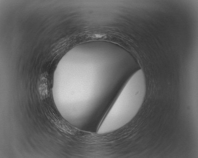 X0000085731442200703160824