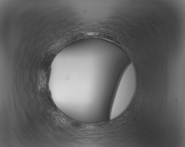 X0000085731443200703160824